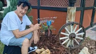 Thumbnail: DIY Turkey Planter.. anyone can make