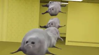 Thumbnail: Bouncing Seals In The Backrooms