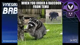 Thumbnail: Vinny talks about Jimothy the Raccoon