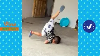 Thumbnail: Funny & Hilarious Video People's Happy Life #51 😂 Try Not To Laugh Funny Videos 2024