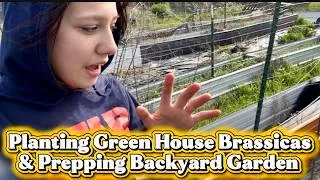 Thumbnail: VC Family Homestead Spring Garden Prep & Greenhouse Planting