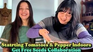 Thumbnail: Starting Tomato and Pepper Seeds Indoors for Free Garden Seed Collaboration