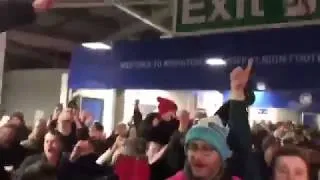 Thumbnail: Bobby Firmino Song vs Brighton