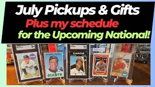 Thumbnail: My July Pickups, plus my plans for the National!