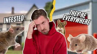 Thumbnail: A mouse infestation ruined my vintage clothes