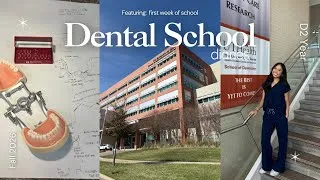 Thumbnail: FIRST WEEK of DENTAL SCHOOL Vlog 🦷✨| starting D2 yr, life as a dental student, productive vlog