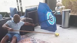 Thumbnail: "Snake Wrangler" Fail || ViralHog