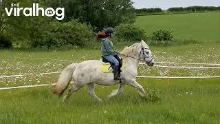 Thumbnail: Horse Bucks Rider Off Then Twirls In Circles || ViralHog