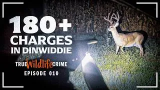 Thumbnail: True Wildlife Crime: One Investigation, 180 Charges