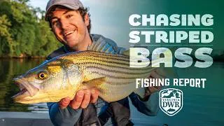 Thumbnail: DWR Fishing Report: Spring Striped Bass Fishing in Virginia