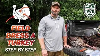 Thumbnail: How to Field Dress a Turkey Step by Step