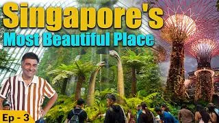 Thumbnail: EP 3 Singapore- Orchard road, Chinese and japanese garden, IMM mall, Night safari
