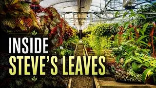 Thumbnail: Inside Steve’s Leaves 🌿 | A Rare Look Inside Their Incredible Greenhouse