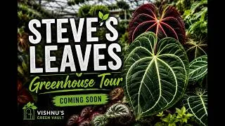 Thumbnail: Steve's Leaves Greenhouse Tour 🌿 | Official Trailer | Rare Houseplants Coming Soon