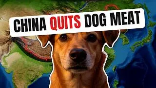 Thumbnail: China Quietly Stopped Eating Dogs, But the Government...