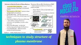 Thumbnail: Techniques to study the structure of plasma membrane | class 11