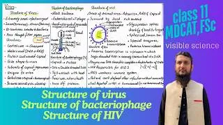 Thumbnail: Virus | structure of virus | Structure of Bacteriophage | Structure of HIV