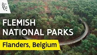 Thumbnail: Celebrate Nature in the Flemish National Parks | Discover Nature in Flanders | Discover Belgium 🌲