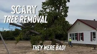 Thumbnail: Tree Removal Day at the Farmhouse