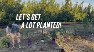 Thumbnail: Is This Finally Starting to Look Like a Garden?