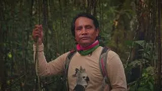 Thumbnail: Inside Peru’s Wild Amazon: Tambopata with Juan Carlos Yatto