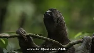 Thumbnail: Discover the Peruvian Amazon with Angel