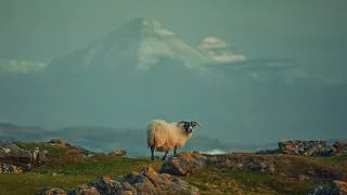 Thumbnail: I Wasn’t Prepared for Scotland