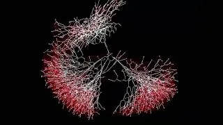 Thumbnail: Branching Systems - TouchDesigner