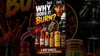 Thumbnail: 🌶️ What Hot Sauce Does to Living Microorganisms 🔬