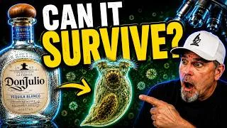 Thumbnail: I Gave Tequila to a Living Microorganism — Here’s What Happened