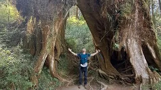 Thumbnail: 阿里山 Hiking Alishan Railway in Taiwan