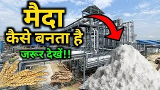Thumbnail: फैक्ट्री में मैदा कैसे बनता हैं? | How maida is made ? | by #Vital_Gyan