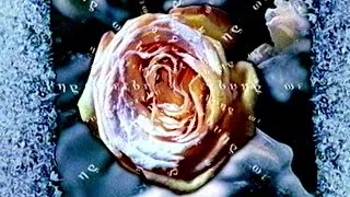 Thumbnail: ProSieben Primetime-Werbung Januar 2000