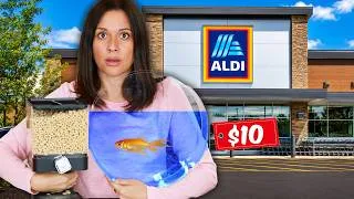 Thumbnail: ALDI Must Be STOPPED! Aldi Products You Should Find and Buy!