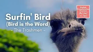 Thumbnail: Surfin' Bird (Bird is the Word) by the Trashmen (Lyrics)