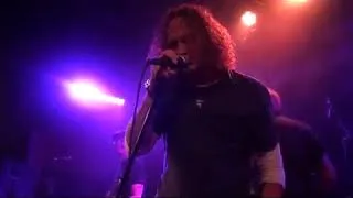 Thumbnail: The Screaming Jets - Shine On