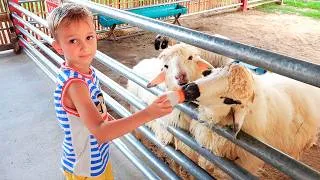 Thumbnail: Vlad and mama walking at farm sheep Family fun playtime