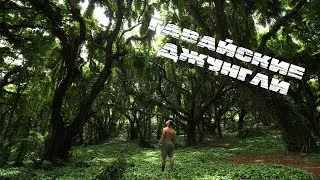 Thumbnail: НАСТОЯЩИЕ Гавайские ДЖУНГЛИ! Природа Мауи #4