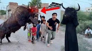 Thumbnail: Converted a Human into a Yaak in Real Life 😨