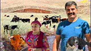 Thumbnail: 🔥 Real Village Life in Iran | Cooking on Fire, Wild Horses & Peaceful Mountain Nature