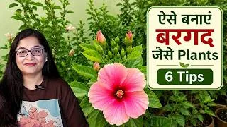 Thumbnail: 🔴6 HACKS - HOW TO MAKE PLANTS SUPER HEALTHY/ NEW PLANT TO SUPER HEALTHY PLANT #gardening  #plants