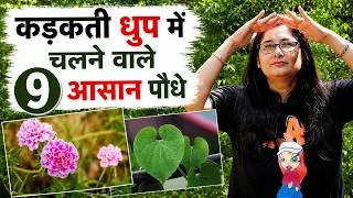 Thumbnail: 🧿Plants That Survive in 6 Hrs Full Sun/भीषड़ गर्मी की तेज़ धुप में हरे-भरे रहने वाले 9 पौधे#gardening