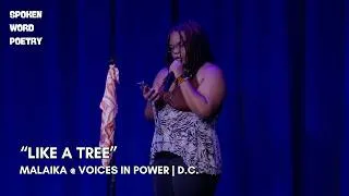 Thumbnail: Malaika - Like A Tree @VoicesInPower #poetry