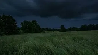 Thumbnail: A Distant Thunderstorm in the Grass Plain | Relaxing Ambience for Sleeping