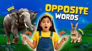Thumbnail: Opposite Words | English | UKG | VOLT Learning