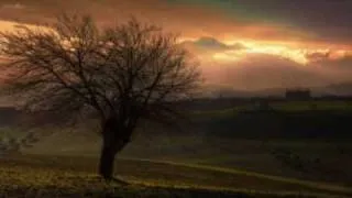 Thumbnail: DJ Tiesto & Ferry Corsten - We Came.wmv