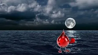 Thumbnail: Shark attack 😯 Interesting & Unknown fact #Shorts