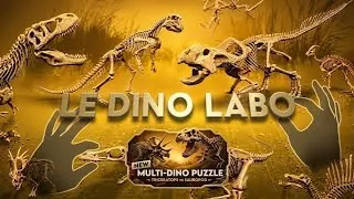 Thumbnail: Recovering From A Operation with Le Dino Labo VR! 🦖