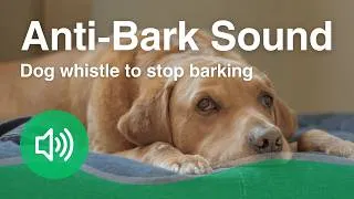 Thumbnail: Dog whistle 20kHz Anti-Bark Sound | Helps stop dog barking