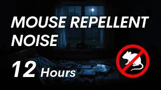 Thumbnail: Mouse Repellent Noise | High-Frequency Sound for Bedrooms at Night | 12 Hours